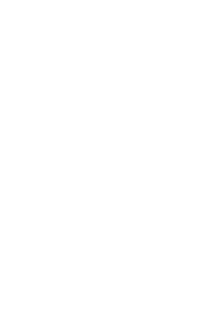 Illustration d'un chat